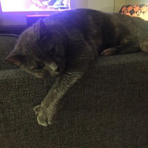 Meet your Posher, Isaac